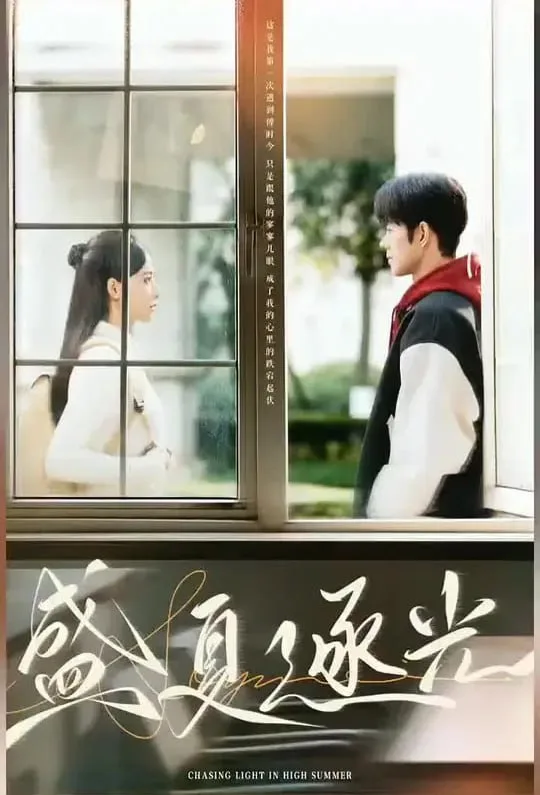 盛夏逐光